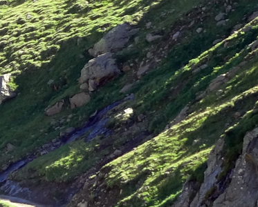 Unternehmensentwicklung